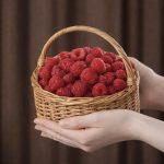 ⁦كولومبيا Raspberry⁩ - الصورة ⁦2⁩